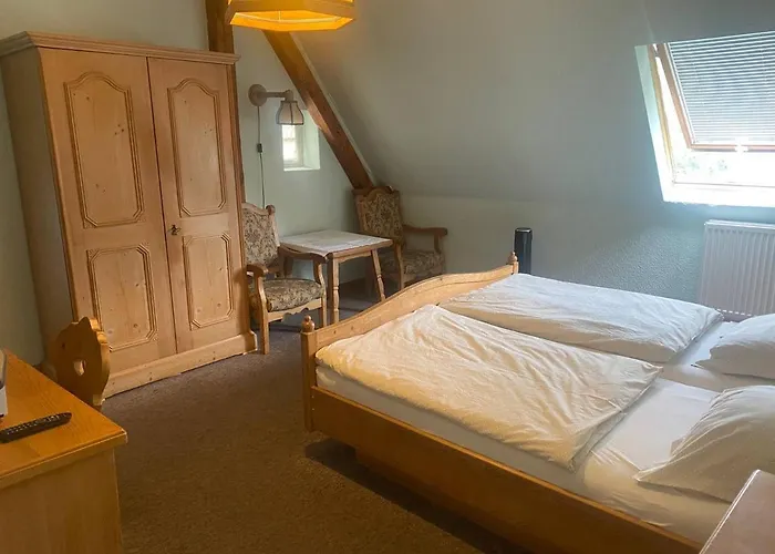 Waldschaenke 酒店 *